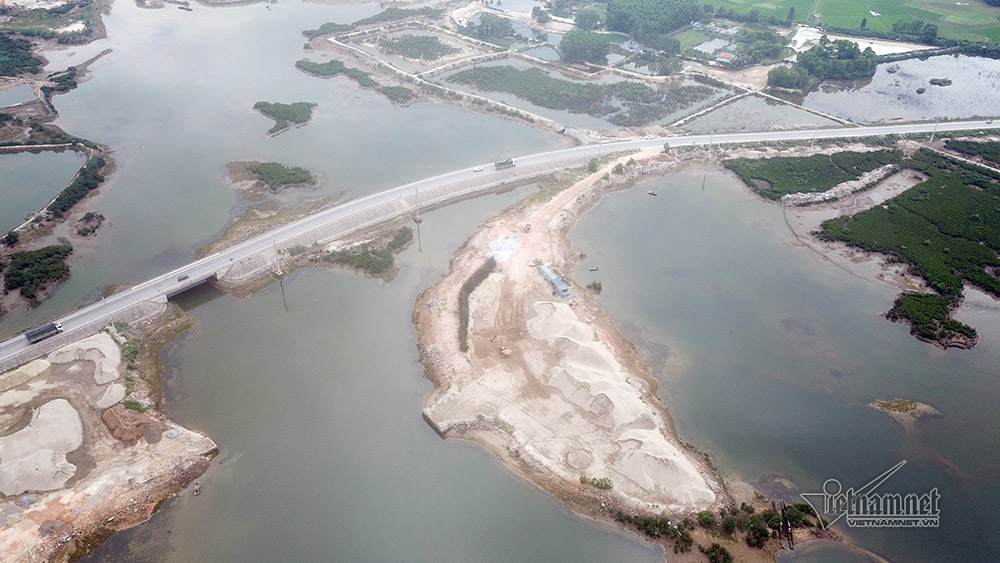 Quảng Ninh: Phạt 27 triệu, di dời ngay bãi tập kết cát lấn rừng ngập mặn