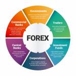 Forex - Đầu tư thông minh Profile Picture