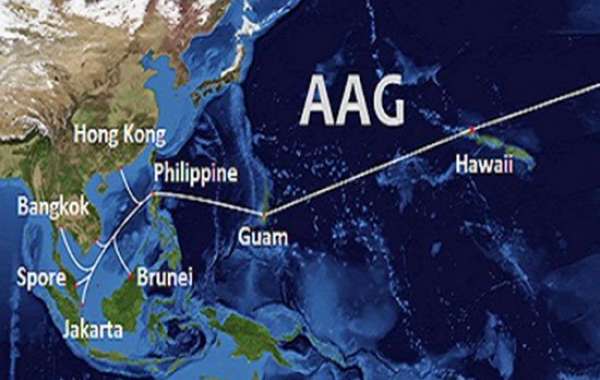 Cáp biển AAG gặp sự cố từ ngày 16/8, Internet Việt Nam đi quốc tế lại bị ảnh hưởng