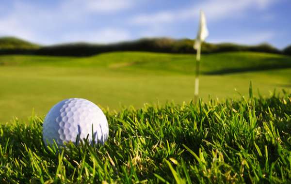 5 điểm tương đồng giữa chơi golf và điều hành doanh nghiệp