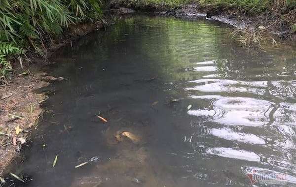 Ô nhiễm nguồn nước ở Hà Nội, 'cần khởi tố vụ án'