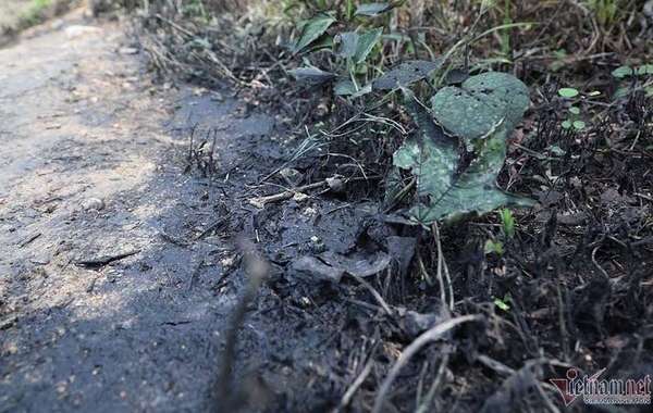 Triệu tập 2 người  liên quan đến vụ đổ dầu gây ô nhiễm nước sông Đà