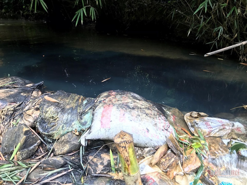 SOS yêu cầu bổ sung thiết bị kiểm tra chất có hại trong nước sông Đà