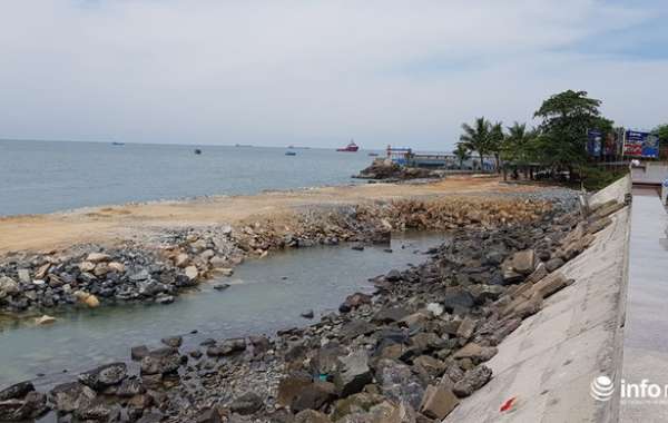 Yêu cầu rà soát dự án lấn biển xây thủy cung, nhà hàng ở TP biển Vũng Tàu