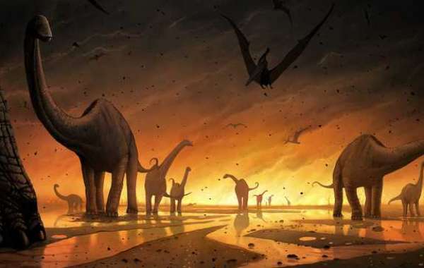 7 sự kiện đại tuyệt chủng đã suýt xóa sổ sự sống ra khỏi Trái Đất: Liệu tiếp theo có phải con người?