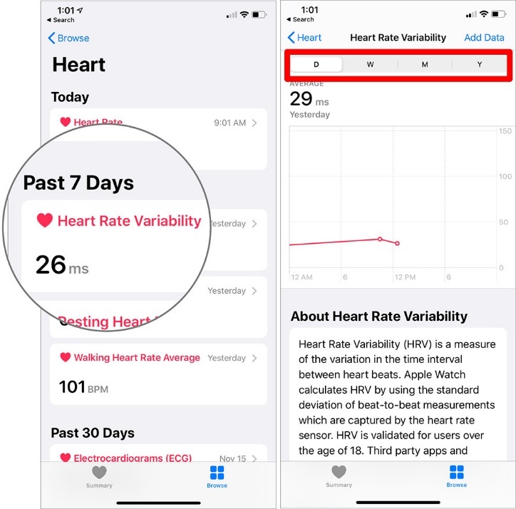 Cách đo nhịp tim bằng Apple Watch