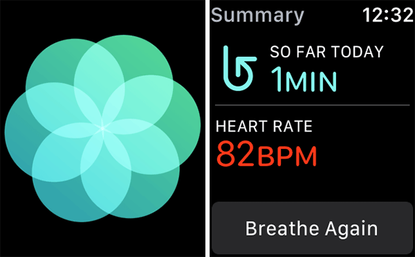 Cách đo nhịp tim bằng Apple Watch