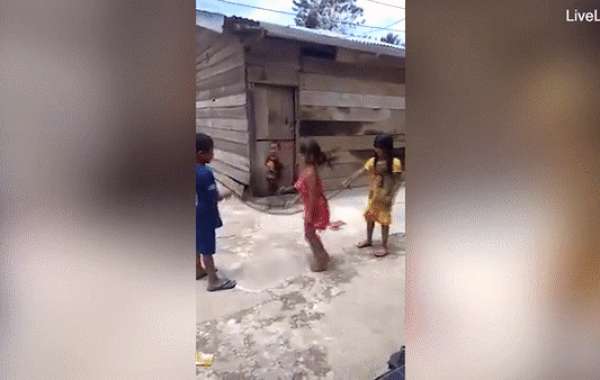 Video các em nhỏ Việt Nam vô tư chơi đùa với xác rắn lên báo Anh