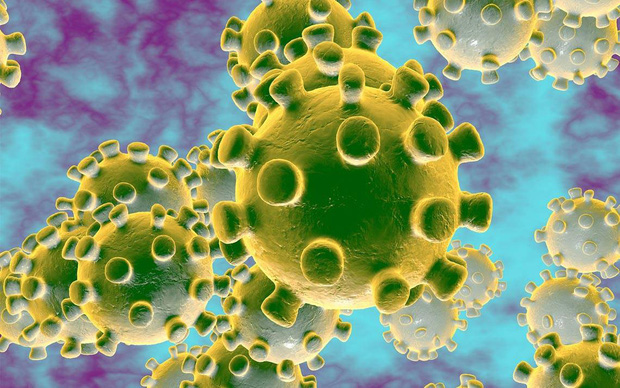 Virus Corona Trung Quốc nghi ngờ xuất hiện tại Việt Nam: Đây là cách để bạn bảo vệ chính mình theo khuyến cáo của WHO - Ảnh 2.