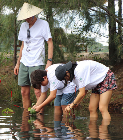 Du khách chung tay trồng rừng ngập mặn ở vịnh biển Ninh Vân