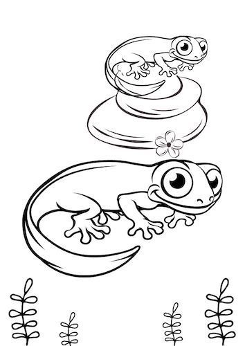 Amphibian Coloring Pages | ColoringGamesOnline.Com
